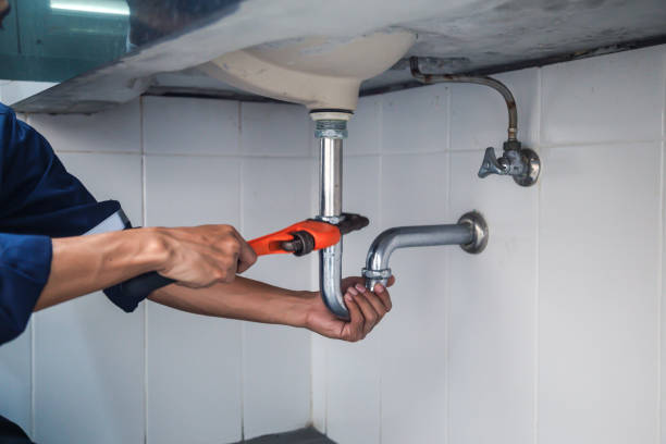 Best Commercial Plumbing Services  in Le Sueur, MN